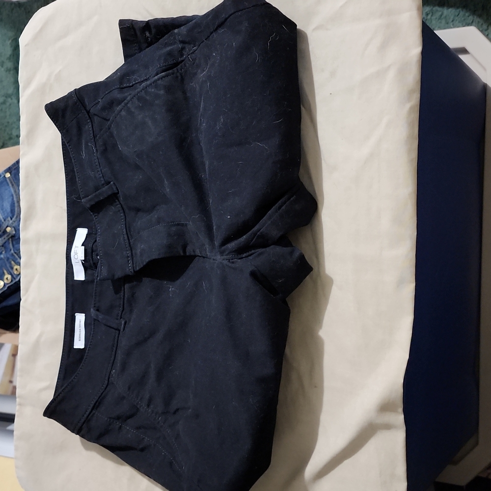 Loft Shorts